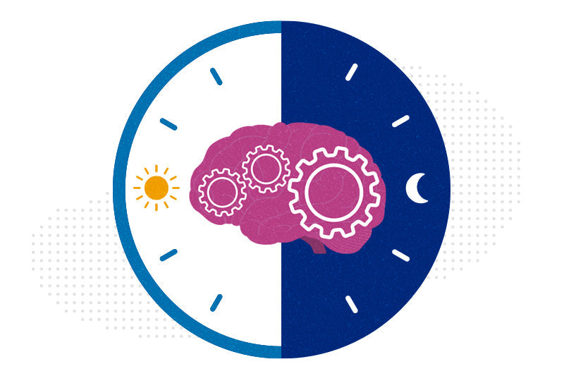 The Chronobiology of Metabolism: Timing Your Way to Health
