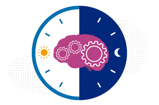 The Chronobiology of Metabolism: Timing Your Way to Health
